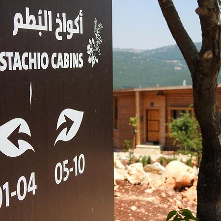 Ajloun Forest Reserve Jarash Exterior photo