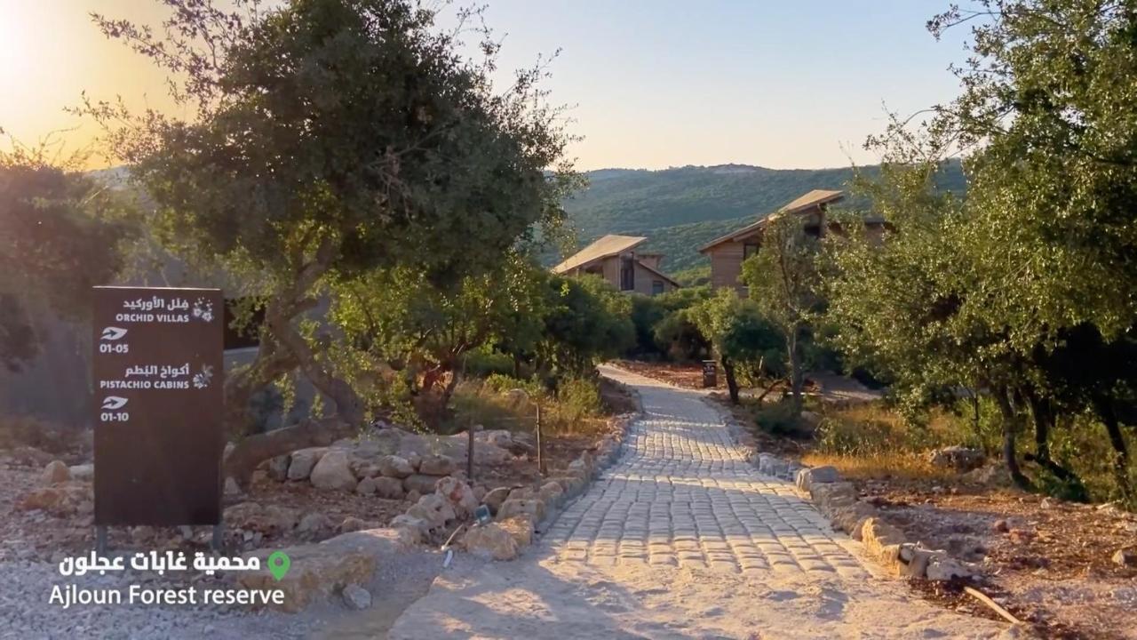 Ajloun Forest Reserve Jarash Exterior photo