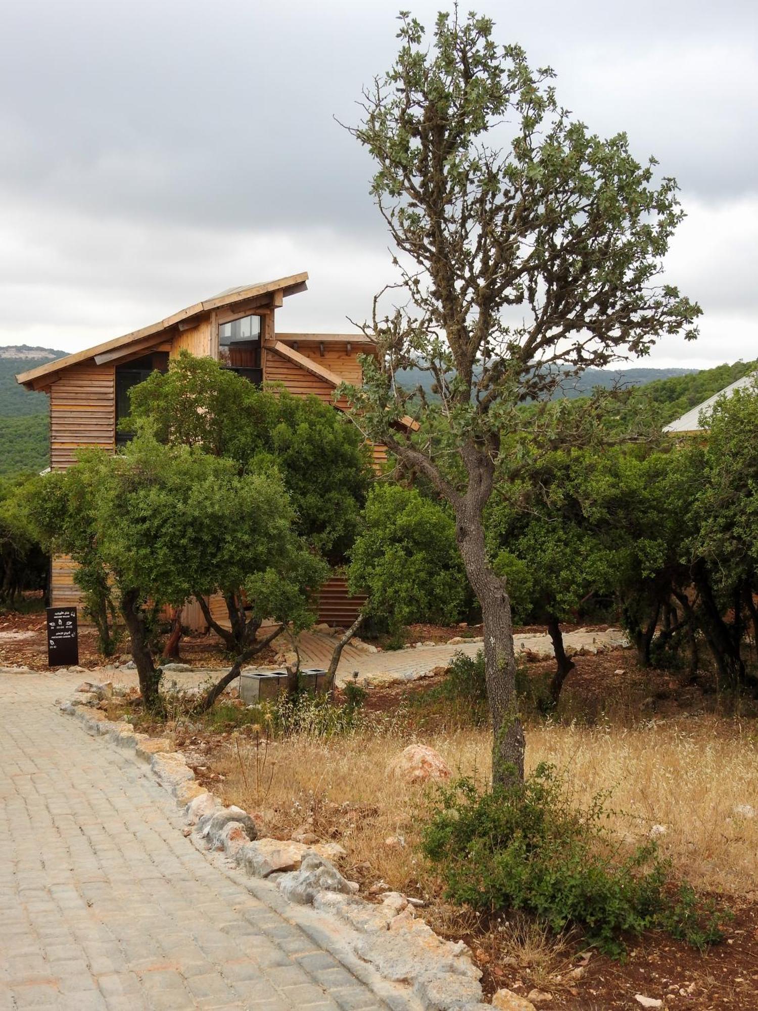 Ajloun Forest Reserve Jarash Exterior photo