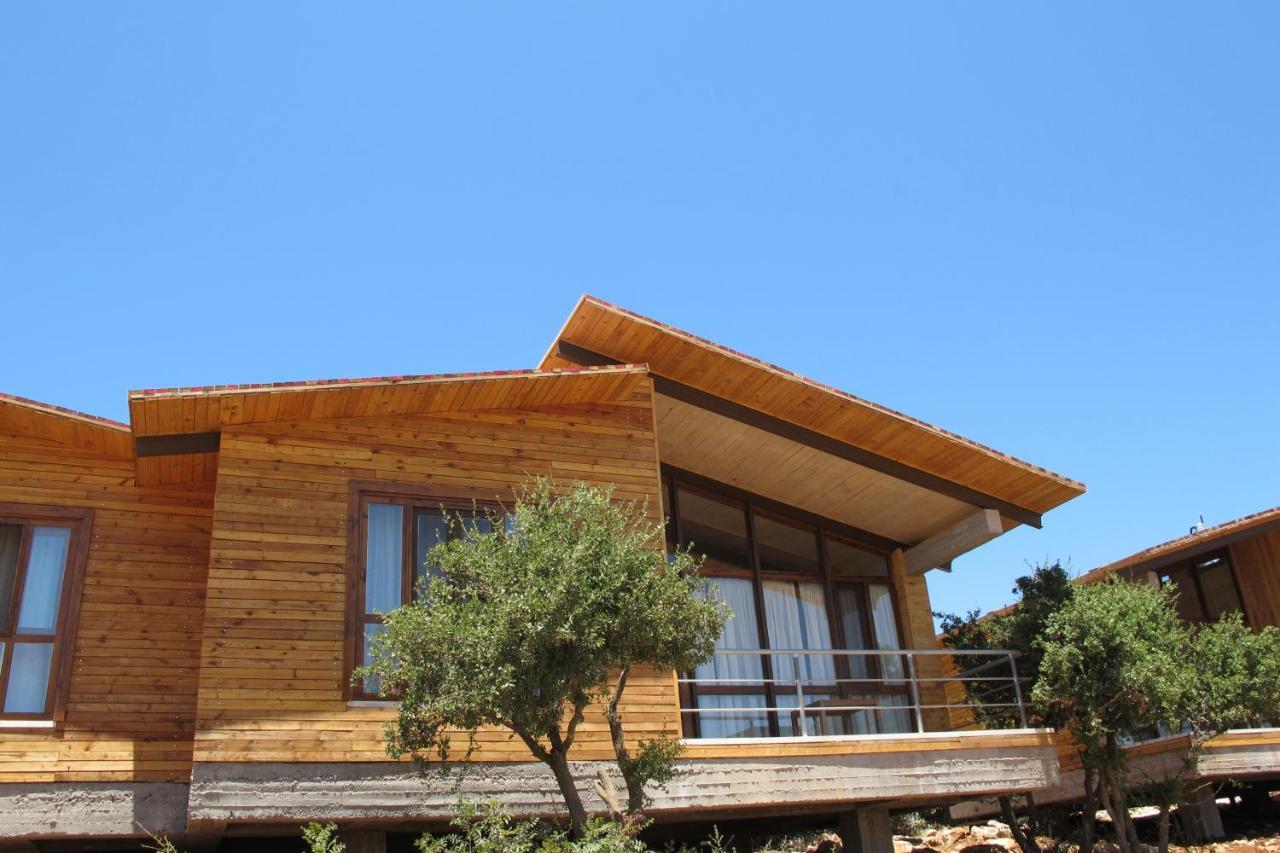 Ajloun Forest Reserve Jarash Exterior photo