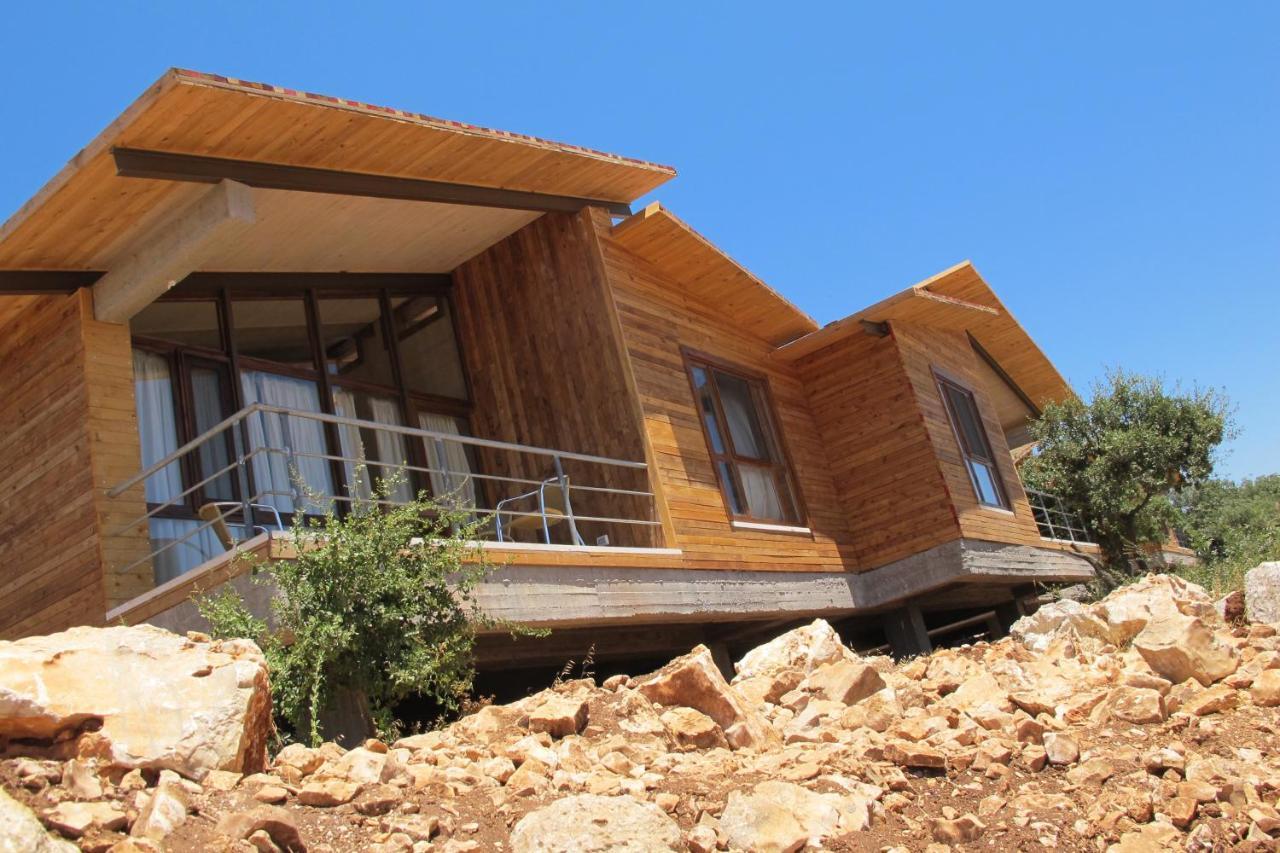Ajloun Forest Reserve Jarash Exterior photo